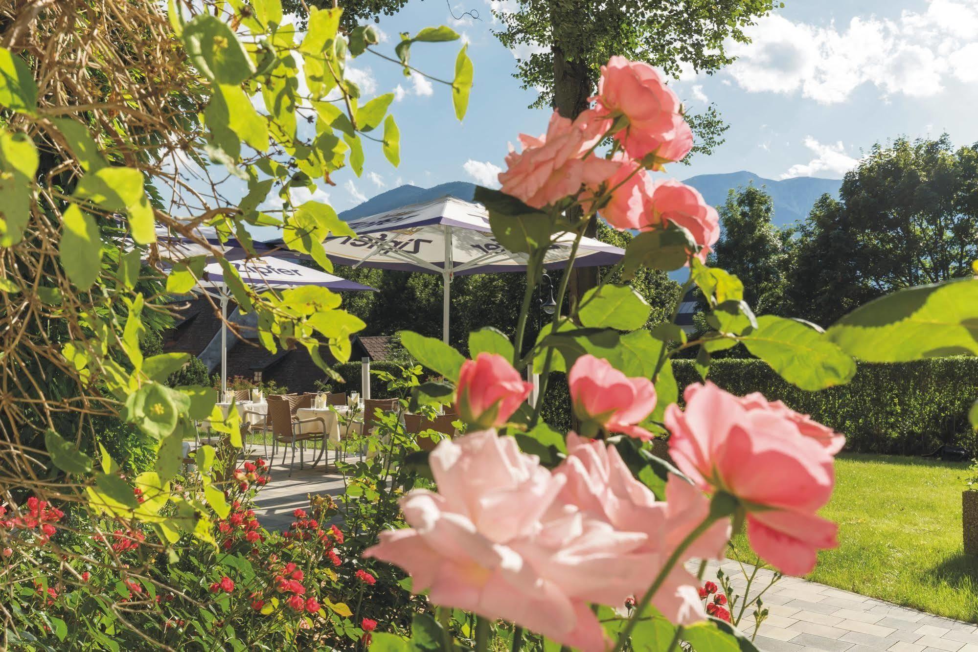 Hotel Schneeberghof Puchberg am Schneeberg Exterior foto